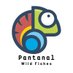 Pantanal Wild Fishes (@fisheswild) Twitter profile photo Pantanal Wild Fishes (@fisheswild) Twitter profile photo