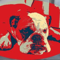 Matmatec (@solo_chaser) 's Twitter Profile