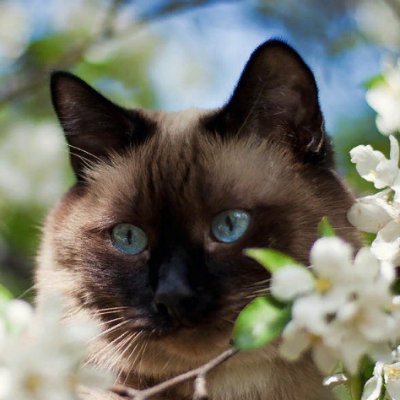 Anna83776512's profile picture. @tapioca_dao pearl club member