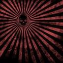 nicky ray bachmann - @bachmann_ray - Twitter