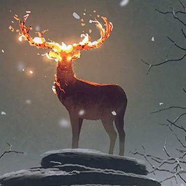 henny73742965's profile picture. here is where we post fake pages and scams we are all sick and tired of them