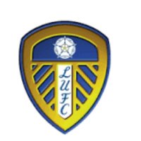 Leeds United Ireland(@leeds2023456) 's Twitter Profile Photo