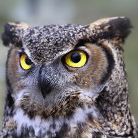 BiHispTop (@lexhern64128990) 's Twitter Profile Photo