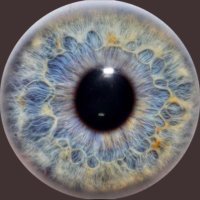 👁👁 (@chalkarts) 's Twitter Profile Photo