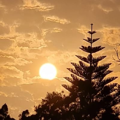 fesprit3's profile picture. 