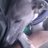 suzty16's profile image