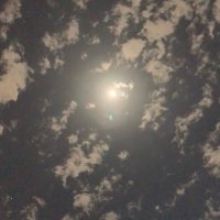 السالم (@gkdk33394) 's Twitter Profile