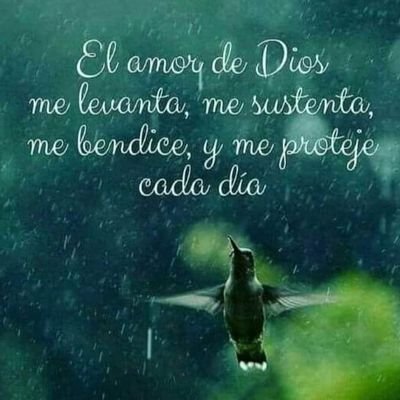 Myriamf09's profile picture. “Dios no te hubiera dado la capacidad de soñar sin darte también la posibilidad de convertir tus sueños en realidad.”