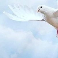 Mae_Dear (@dearkmary) 's Twitter Profile