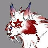 Vrikaloさんのプロフィール画像