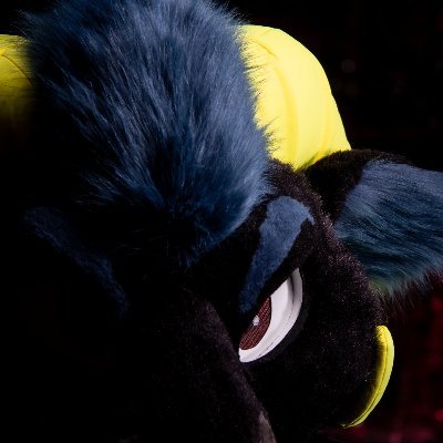 Moved to @kurrikageさんのプロフィール画像