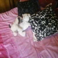 💟💟💟jon fearn (@yp56v2) 's Twitter Profile