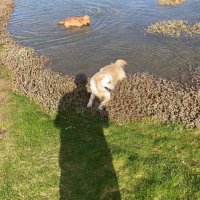 Patrick Mulhare (@mulpvem) 's Twitter Profile