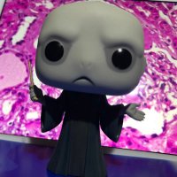 Voldi 🖤 (@lvoldemir) 's Twitter Profile Photo Voldi 🖤 (@lvoldemir) 's Twitter Profile Photo