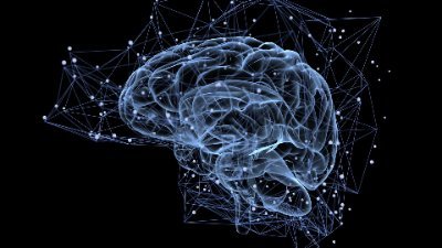 roalmerji's profile picture. https://t.co/k5puoK0qXG