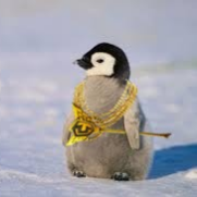 TackxsPoopyButt's profile picture. retired fortnite semi pro