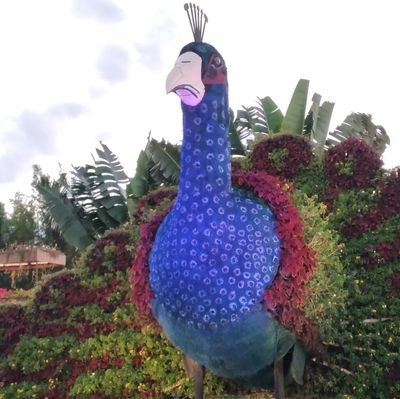 babaXtachi's profile picture. 