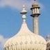 Discounts Brighton (@discntsbrighton) Twitter profile photo Discounts Brighton (@discntsbrighton) Twitter profile photo
