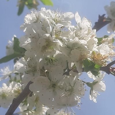 ahmd96739170's profile picture. 🤍أحب الصالحين ولست منهم .....لعلي ان أنال بهم شفاعة🤍🤍🤍