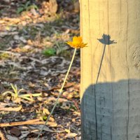 Luthgiled Madison (@lufthgiled) 's Twitter Profile Photo