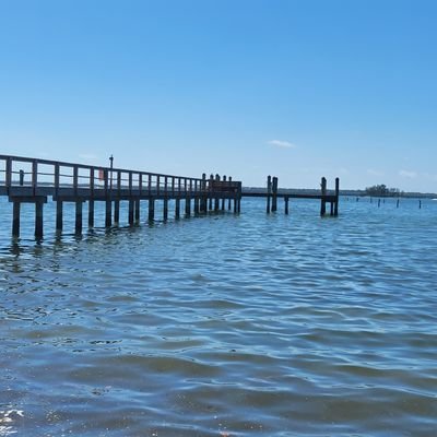 CathiMario's profile picture. la vida es un viaje