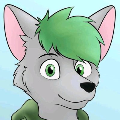 FuyukiFirethorn's profile picture. Sou um lobo verde de olhos e cabelo cinza. Perfil ainda em andamento.