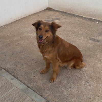 DanielG02156388's profile picture. Daniel