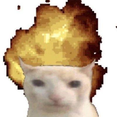 NaraGhirga4's profile picture. only here for the f4gsl0p