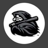 Carolina Reapers (@screapers17u) 's Twitter Profile