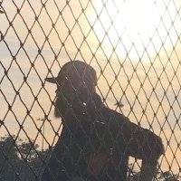 Coach Pollock 🥎⚾️🇺🇸 (@coach_pollock98) Twitter profile photo