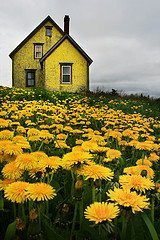 Uma coletânea de pensamentos é uma farmácia moral onde se encontram remédios para todos os males.
(Voltaire)