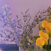 Chris_ (@chrihithere) 's Twitter Profile