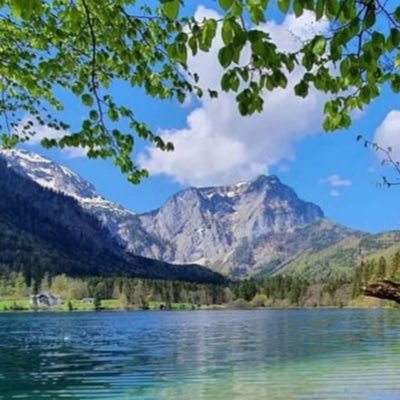 monikahuber77's profile picture. 