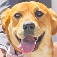 Verklempt (@verklempt4) 's Twitter Profile