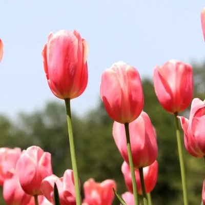 dududu36713218's profile picture. 互Fo