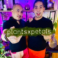 plantsxpetals(@plantsxpetals) 's Twitter Profile Photo
