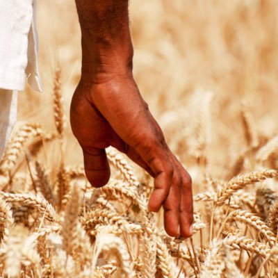 #Farmer #BlackAmerican @PVAMU #HBCU #ADOS #NotYourNegro #CutTheCheck #Reparations #BlackMentalHealth On land ancestors were enslaved/sharecropped.