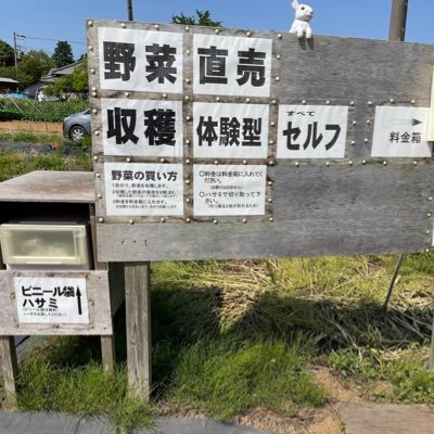 千葉県印西市にあるセルフ収穫体験型の野菜直売所です。 収穫できる野菜の紹介を行っていきます! 食べたい時に各々のタイミングでセルフで野菜を収穫していただき、新鮮野菜を食べてください😆