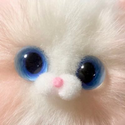 _codus031's profile picture. 응애으른 / 조용히 생활하는 새럼