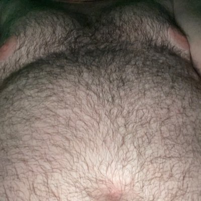 ADULTS ONLY - California 🐻 living in the Nashville area #BBBH