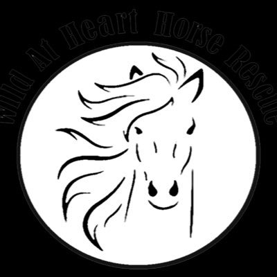 Wildatharthorse Profile Picture