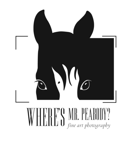 Where's Mr. Peabody? is Mark Samu's Fine Art Equine Photography site. Mr. Peabody is Mark's blue eyed, black, quarter horse, and constant companion.