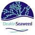 Dr Alecia Bellgrove (@DeakinSeaweed) Twitter profile photo