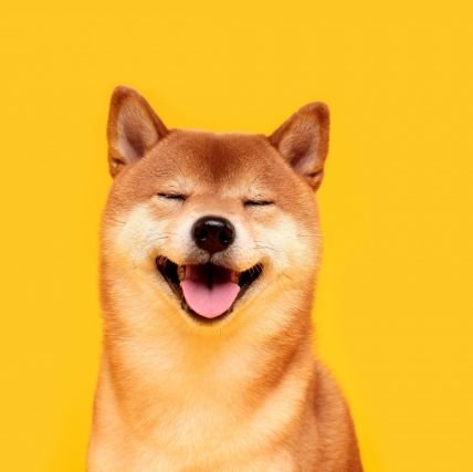 CRYPTOvibes01's profile picture. Crypto NFT FIAT Stock