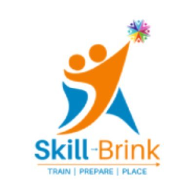 Skill Brink Academy