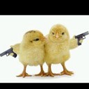 Bryce Wing - @Bryce_Wing - Twitter