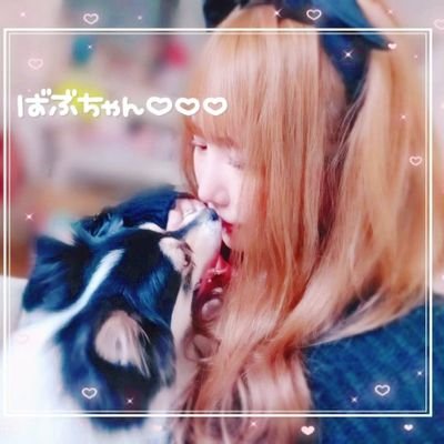 2024.10.11✨💍✨11.07💙👶🏻💙
　　🐶OREO＆PINO🐶