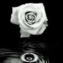 Miranda Ayesha - @Miranda_Ayesha - Twitter