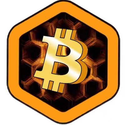 luozumin's profile picture. Satoshi Nakamoto BTCs registration link：https://t.co/DEK6xtHkyt