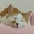 こむぎっちょのアイコン
